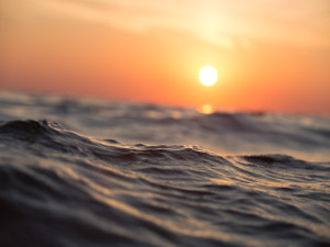 Salud Ecológica: sol.